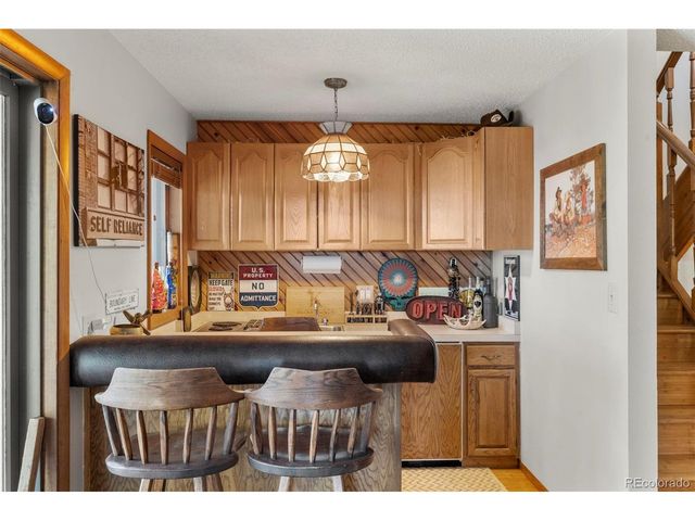 247 Pinewood Rd, Florissant, CO 80816