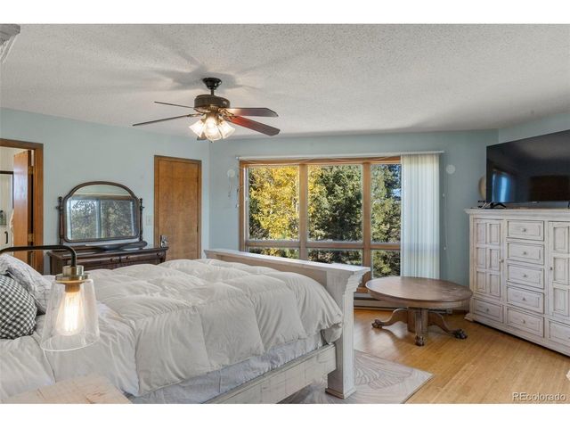 247 Pinewood Rd, Florissant, CO 80816