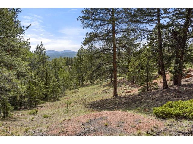 247 Pinewood Rd, Florissant, CO 80816