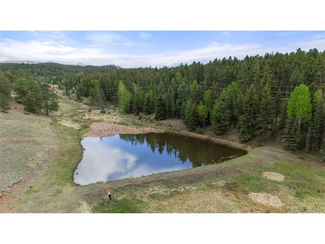 247 Pinewood Rd, Florissant, CO 80816