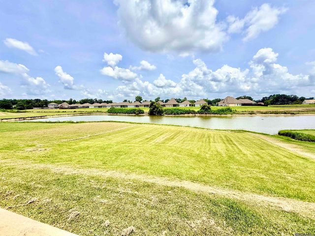 39122 Bayou View Ave, Gonzales, LA 70737