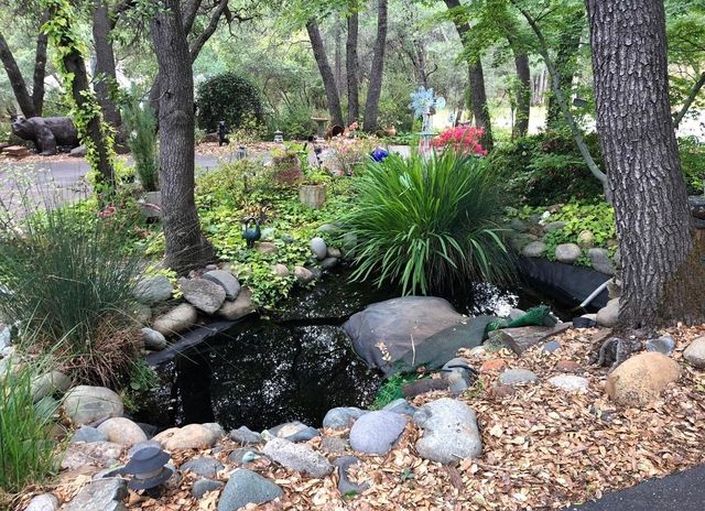 6320 Zamora Dr, Placerville, CA 95667