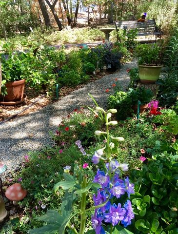 6320 Zamora Dr, Placerville, CA 95667