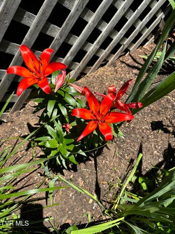 5191 Highway 421, Mountain City, TN 37683