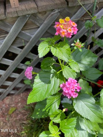 5191 Highway 421, Mountain City, TN 37683