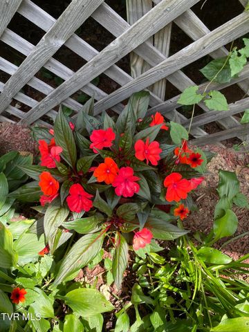 5191 Highway 421, Mountain City, TN 37683