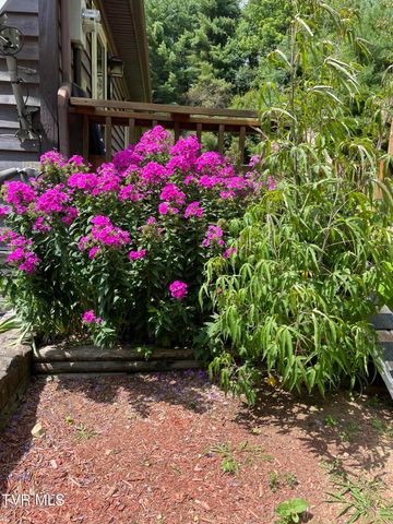 5191 Highway 421, Mountain City, TN 37683