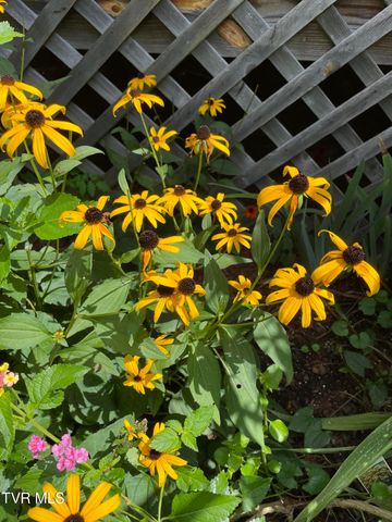 5191 Highway 421, Mountain City, TN 37683