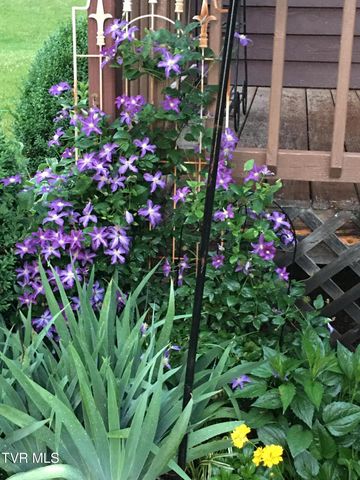 5191 Highway 421, Mountain City, TN 37683