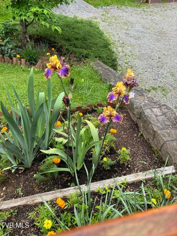 5191 Highway 421, Mountain City, TN 37683