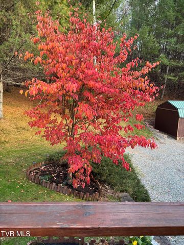 5191 Highway 421, Mountain City, TN 37683