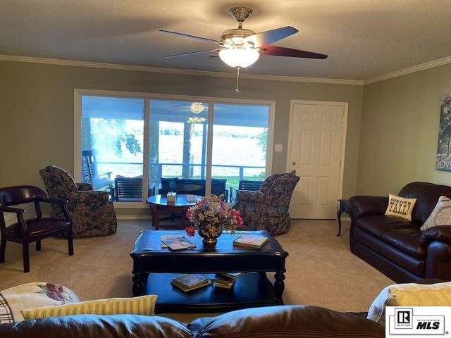 937 SCOTTS HIDEAWAY ROAD, Farmerville, LA 71241