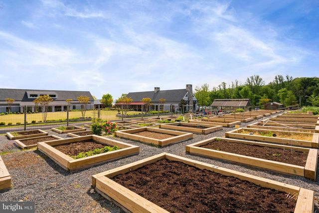 1924 SERVICEBERRY RD, Dumfries, VA 22026