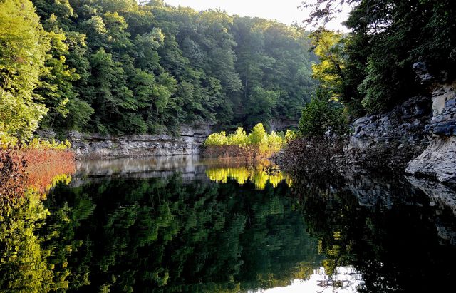 Tract 11 Dogwood Drive, Whitley City, KY 42653