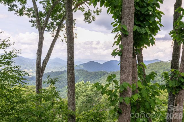 456 Spring House Drive, Burnsville, NC 28714
