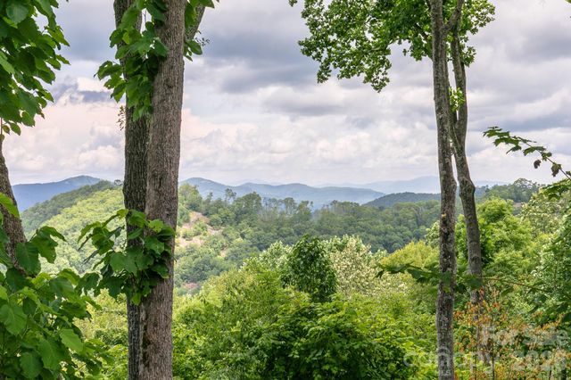 456 Spring House Drive, Burnsville, NC 28714