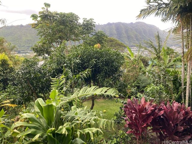 3232 Paty Drive Studio, Honolulu, HI 96822