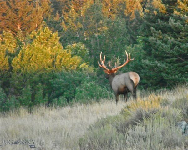 107 Eldridge Creek Trail, Livingston, MT 59047