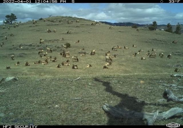 107 Eldridge Creek Trail, Livingston, MT 59047