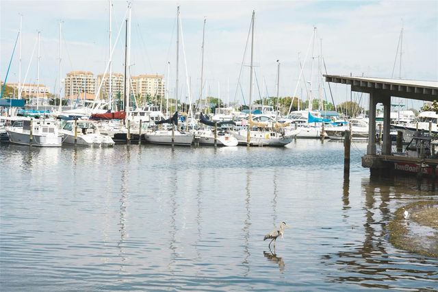 5940 21ST STREET N 11, St Petersburg, FL 33714