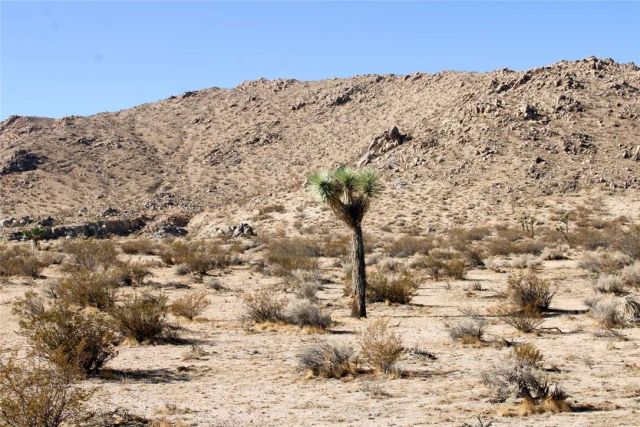 20999 Bella Vista, El Mirage, CA 92301