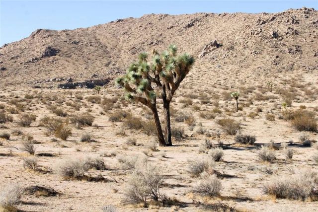 20999 Bella Vista, El Mirage, CA 92301