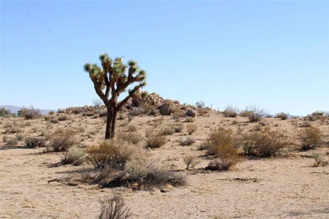 20999 Bella Vista, El Mirage, CA 92301