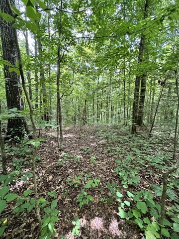0 Les Hughes Rd, Fairview, TN 37062