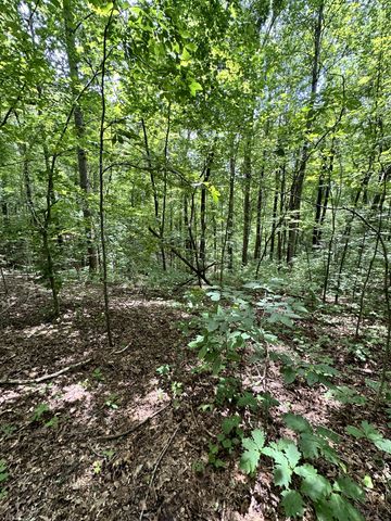 0 Les Hughes Rd, Fairview, TN 37062