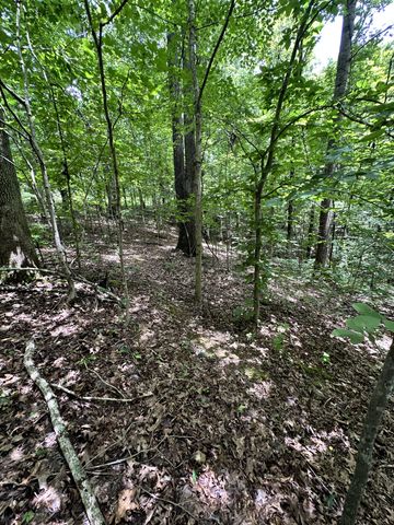0 Les Hughes Rd, Fairview, TN 37062