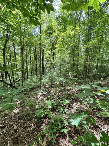 0 Les Hughes Rd, Fairview, TN 37062