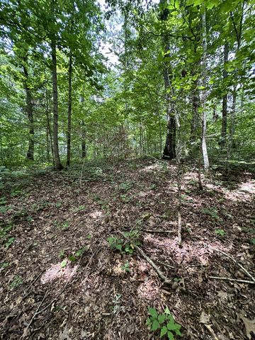 0 Les Hughes Rd, Fairview, TN 37062