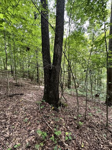 0 Les Hughes Rd, Fairview, TN 37062