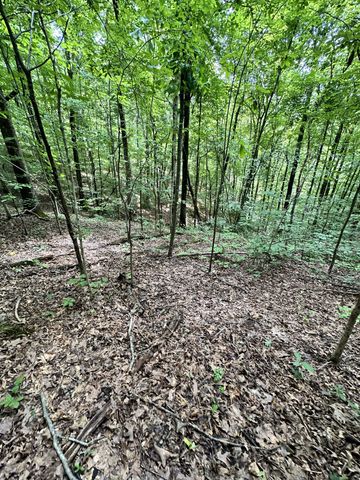 0 Les Hughes Rd, Fairview, TN 37062