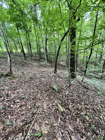 0 Les Hughes Rd, Fairview, TN 37062