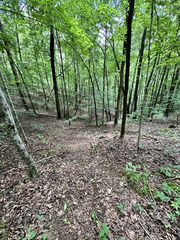 0 Les Hughes Rd, Fairview, TN 37062