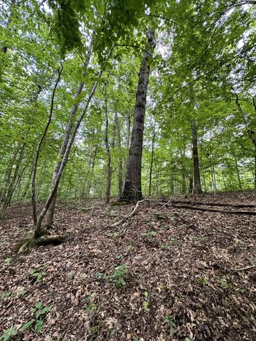0 Les Hughes Rd, Fairview, TN 37062