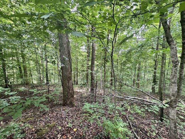 0 Les Hughes Rd, Fairview, TN 37062