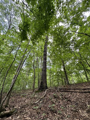 0 Les Hughes Rd, Fairview, TN 37062