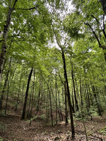 0 Les Hughes Rd, Fairview, TN 37062