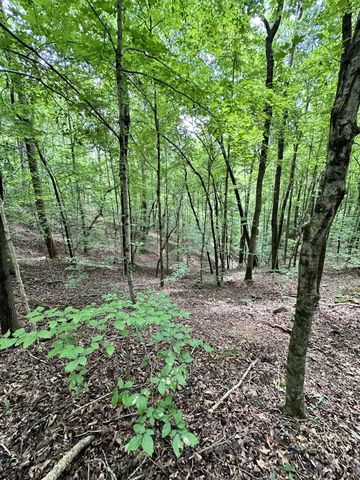 0 Les Hughes Rd, Fairview, TN 37062
