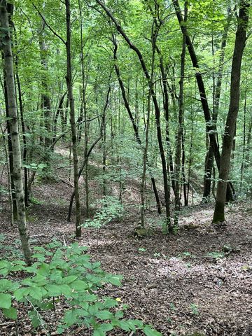 0 Les Hughes Rd, Fairview, TN 37062