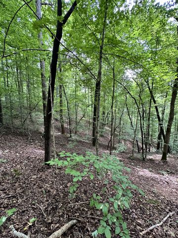 0 Les Hughes Rd, Fairview, TN 37062