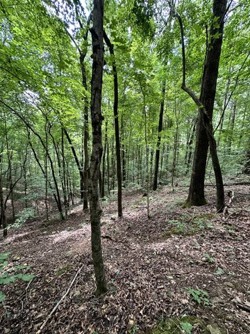 0 Les Hughes Rd, Fairview, TN 37062