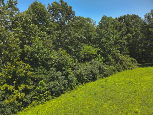 0 Les Hughes Rd, Fairview, TN 37062