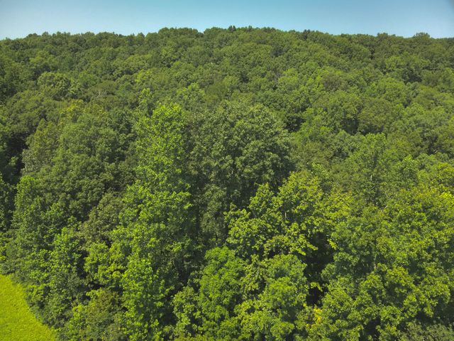 0 Les Hughes Rd, Fairview, TN 37062