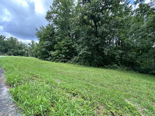 0 Les Hughes Rd, Fairview, TN 37062