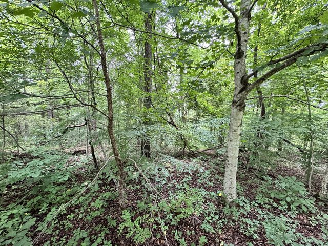 0 Les Hughes Rd, Fairview, TN 37062
