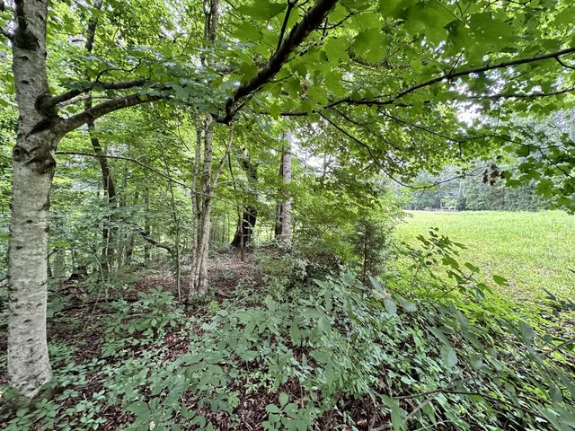 0 Les Hughes Rd, Fairview, TN 37062