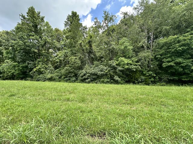 0 Les Hughes Rd, Fairview, TN 37062